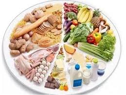 未来转基因大豆品种如何优化农业可持续性